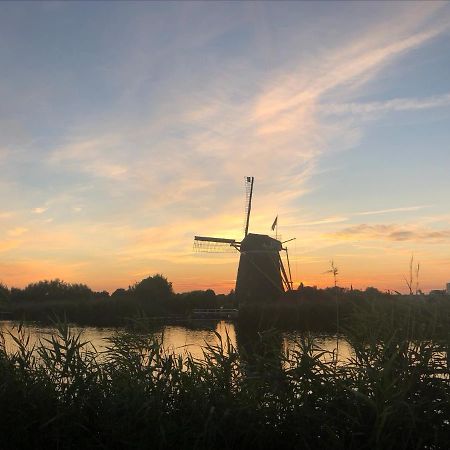 Chalet Aan De Rotte Rotterdam Eksteriør billede