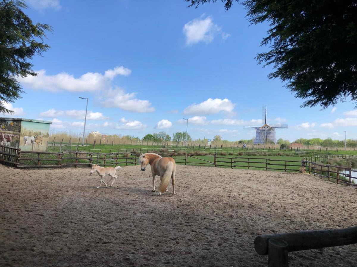 Chalet Aan De Rotte Rotterdam Eksteriør billede