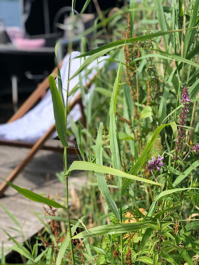 Chalet Aan De Rotte Rotterdam Eksteriør billede